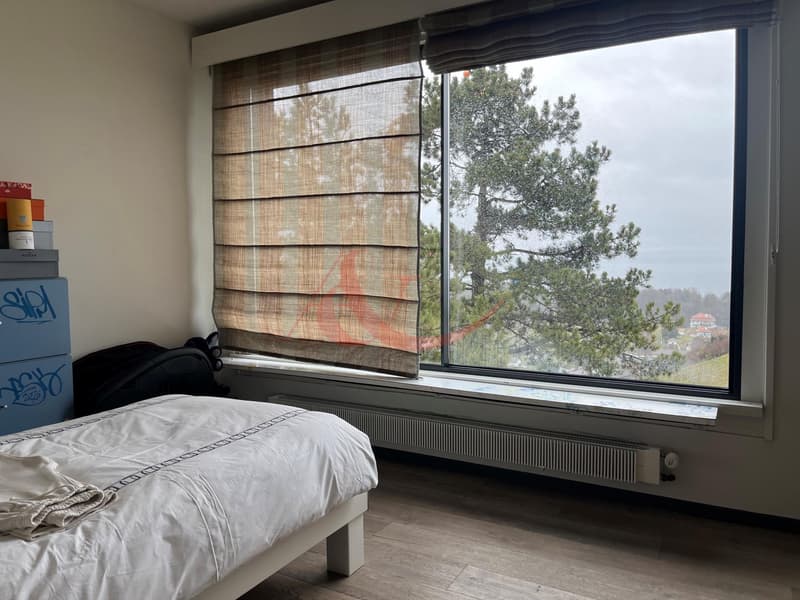 Splendid 8.5-room villa with breathtaking views of the lake ? Cortaillod (9)