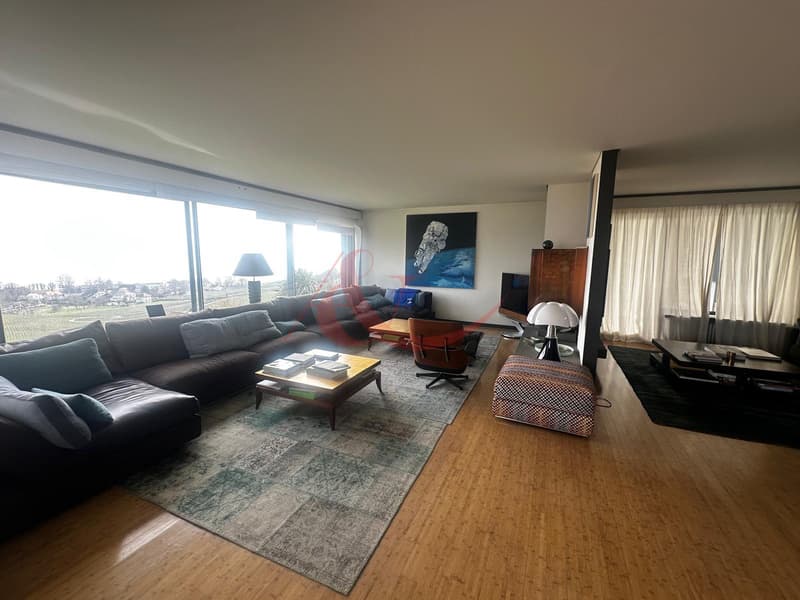 Splendid 8.5-room villa with breathtaking views of the lake ? Cortaillod (5)