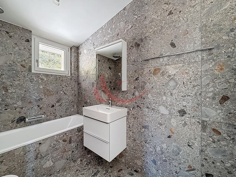 New - 4.5 rooms with panoramic terrace - unit 1 (6)