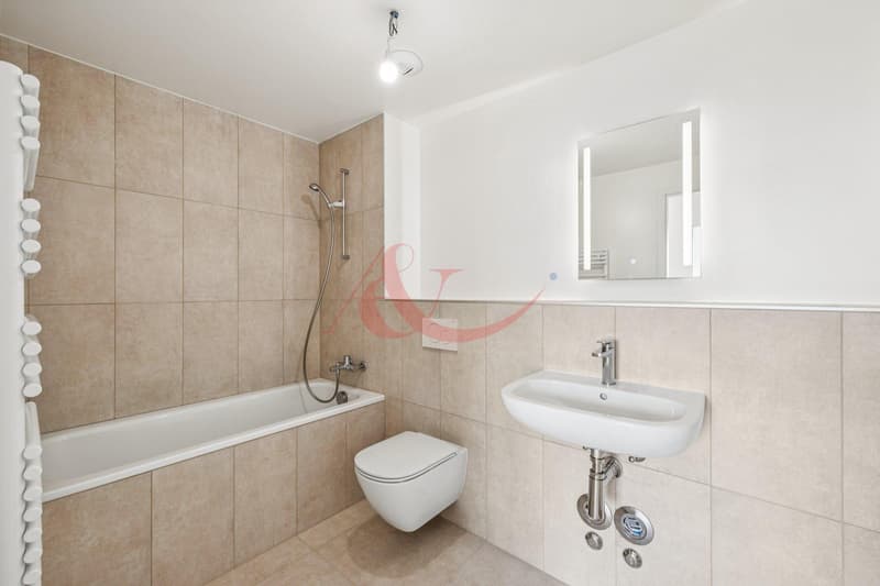 3.5 room apartment, completely new (3)