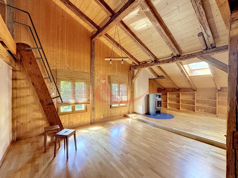 Appartement de 2.5 pièces avec mezzanine - Ollon VD (2)