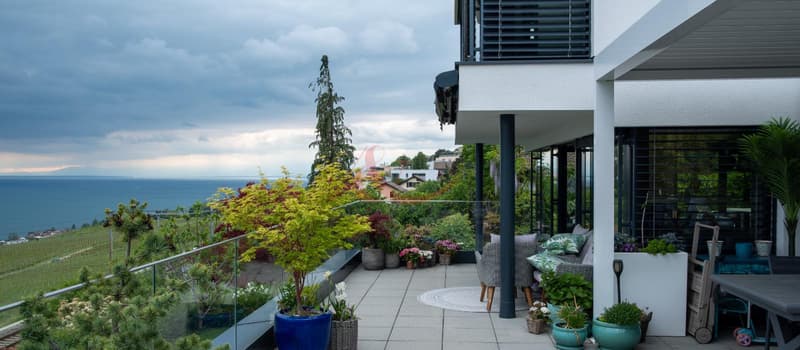 Résidence contemporaine avec vue sur le lac et les Alpes - La Conversion (9)