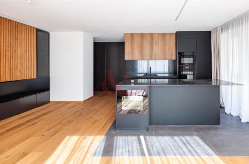 Crans - Montana , UN APPARTEMENT CONTEMPORAIN ENTIÈREMENT MEUBLÉ, PENSÉ DANS LES MOINDRES DÉTAILS (3)