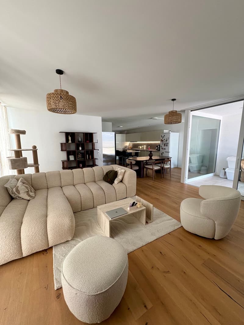 Grand appartement - 4.5p (1)