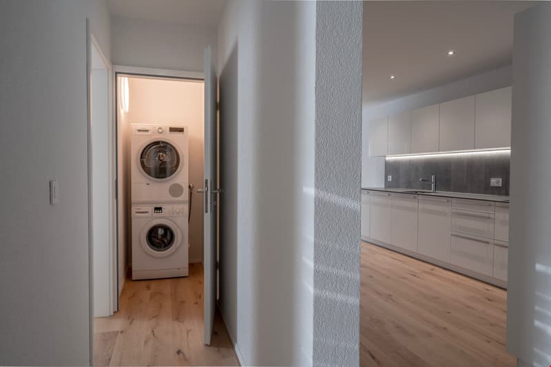 Grand appartement - 4.5p (5)