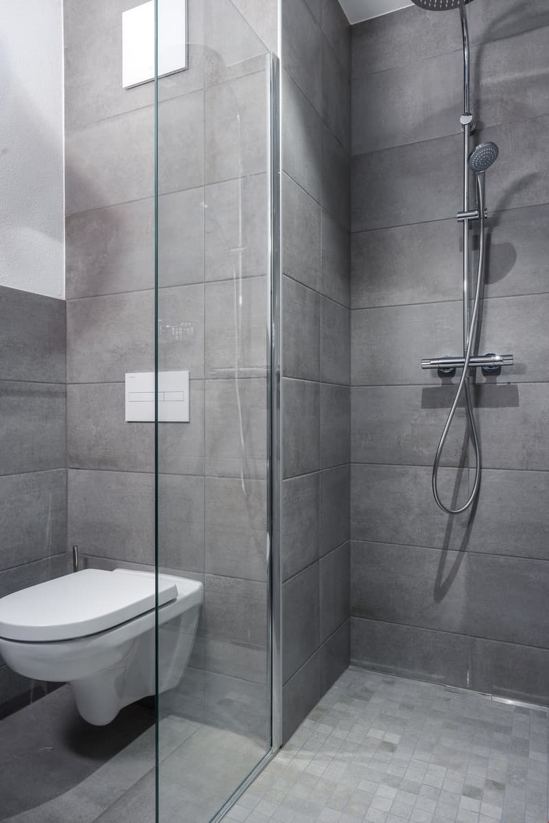 Magnifique appartement à louer (8)