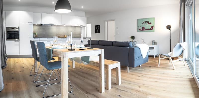 Magnifique appartement à louer (3)