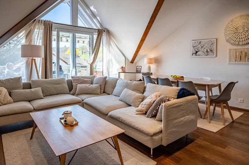 Charming Apartment in the Heart of Montherod (13)