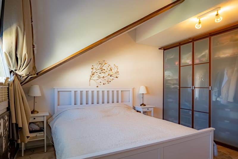Charming Apartment in the Heart of Montherod (6)