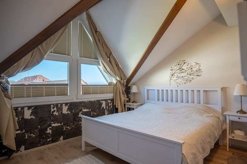 Charming Apartment in the Heart of Montherod (5)