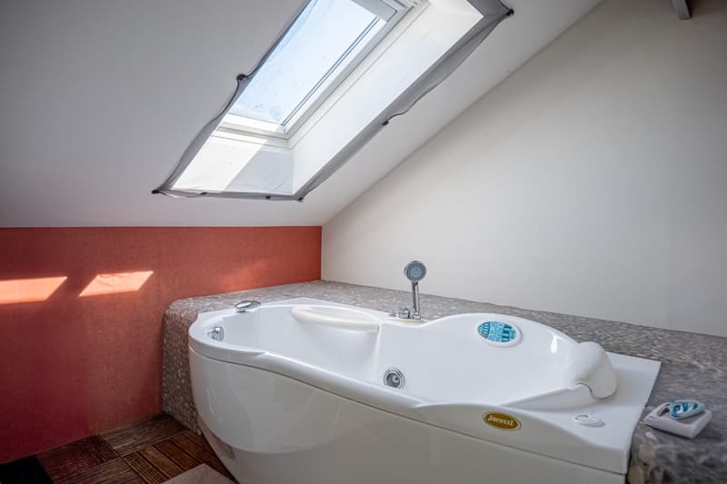 Charming Apartment in the Heart of Montherod (7)