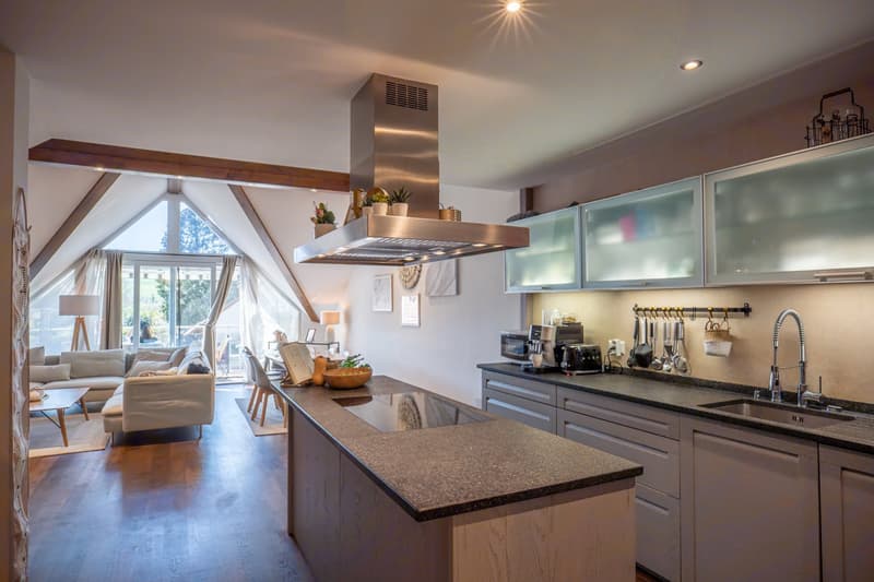 Charming Apartment in the Heart of Montherod (11)