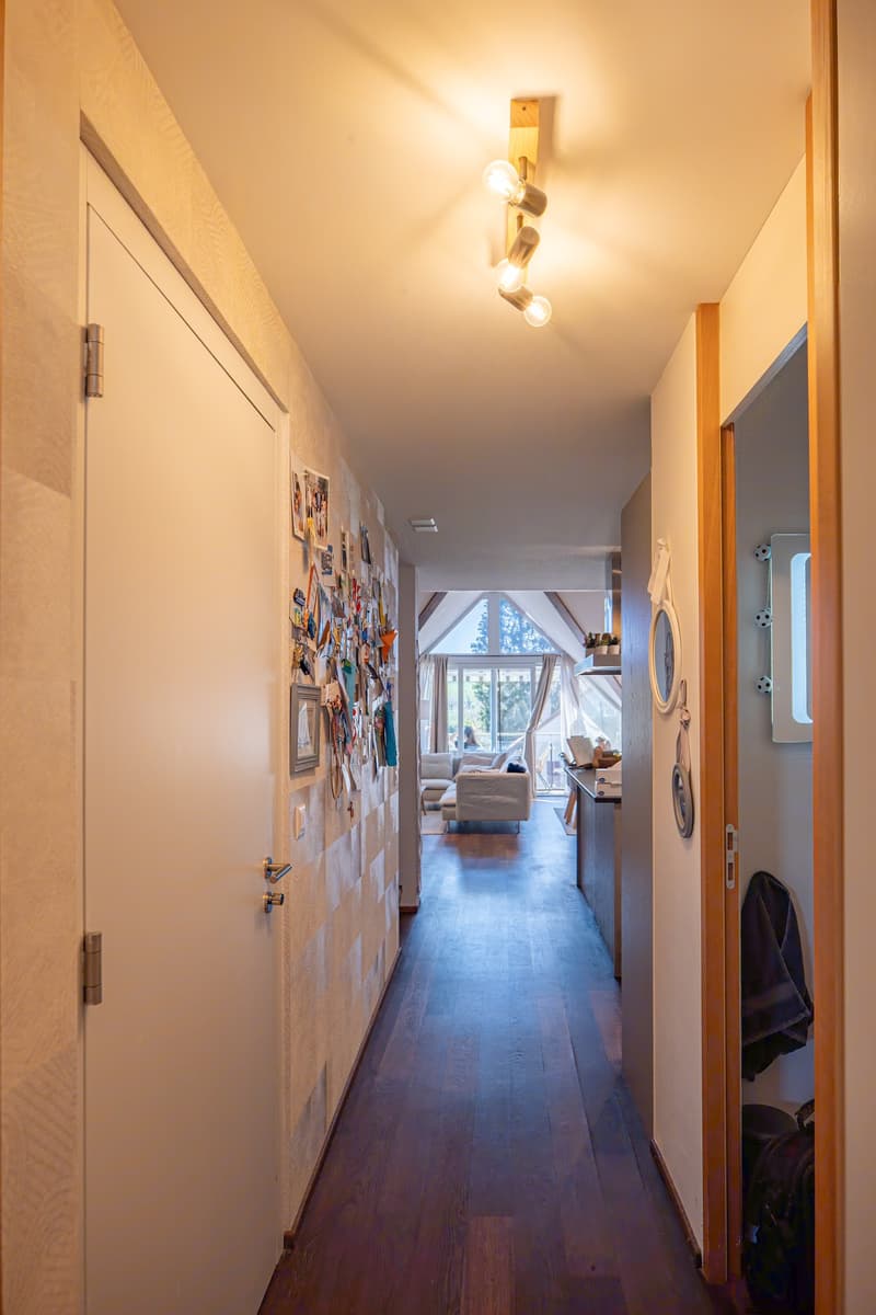 Charming Apartment in the Heart of Montherod (9)