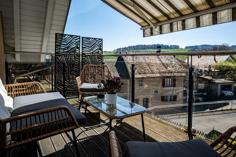 Charming Apartment in the Heart of Montherod (8)