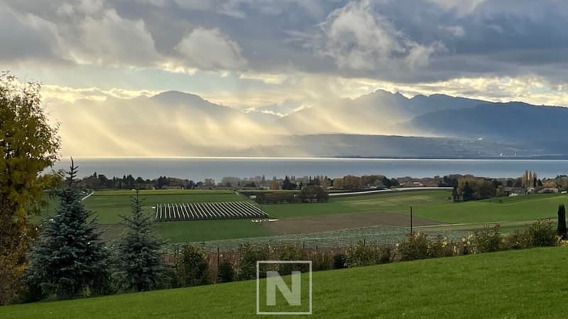 Individual villa with 9 rooms, 248 m2 of living space on a property of over 4,000 m2 with magnificent views of the lake, the mountains and the Vufflens castle (3)