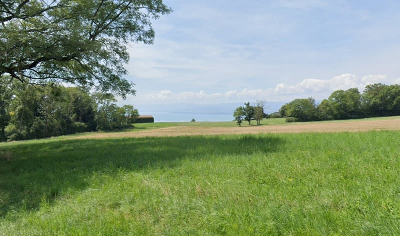 Individual villa with lake view: Lutry heights (4)