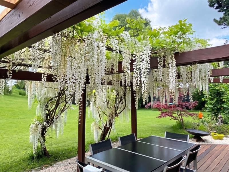 Architect's Villa 6 Rooms - Exceptional Plot 1'963 m² (7)