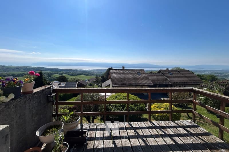 Deliziosa casa a schiera con giardino e vista aperta ad Arzier-Le Muids (2)