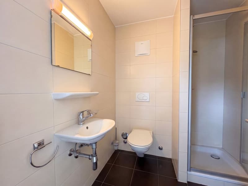 Appartement en attique de 4,5 pièces à vendre à Lausanne - 127 m², grand balcon (13)
