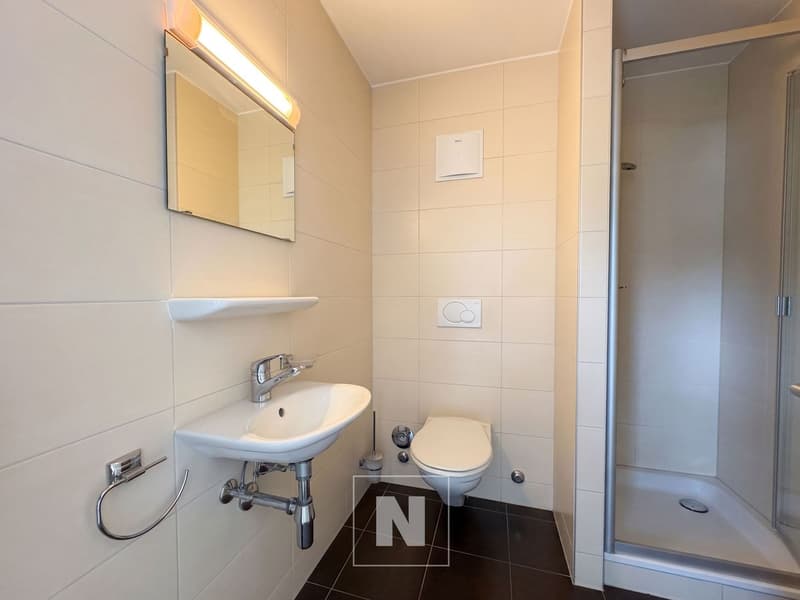 Attika-Wohnung mit 4,5 Zimmern zum Verkauf in Lausanne - 127 m², großer Balkon (13)