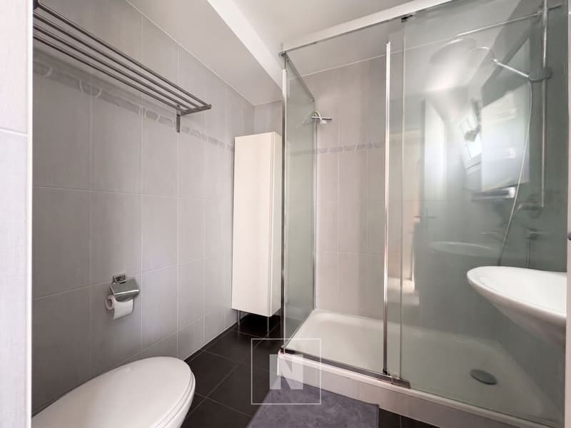 Attika-Wohnung mit 4,5 Zimmern zum Verkauf in Lausanne - 127 m², großer Balkon (10)
