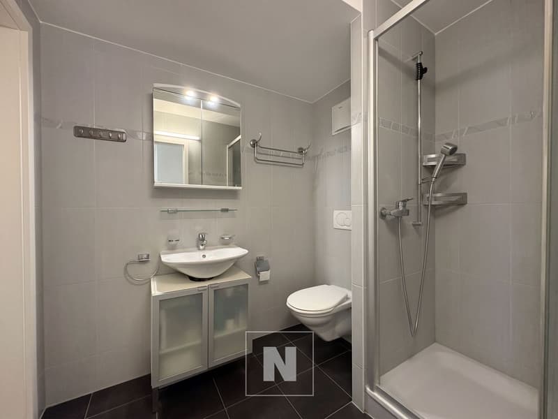 Attika-Wohnung mit 4,5 Zimmern zum Verkauf in Lausanne - 127 m², großer Balkon (6)