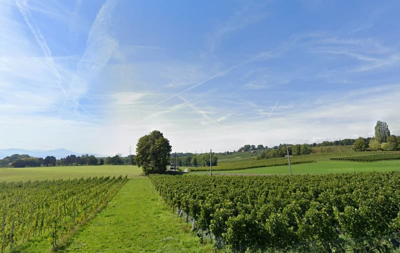 Vente maison vaudoise 8 pièces, environ 300 m2, proche de Morges, terrain d'environ 3000 m2 (8)