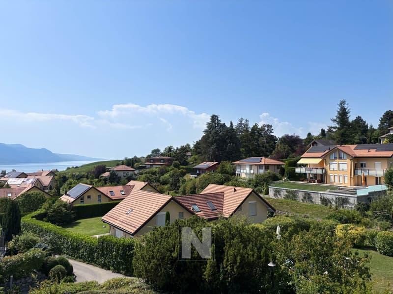 House with 5.5 rooms for sale in Blonay - 150 m2, beautiful view (13)