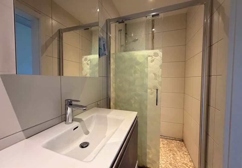 Apartment with 4.5 rooms, 106 m² Vallon (commune of Missy) (12)