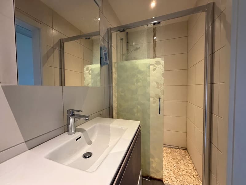 Appartement de 4.5 pièces, 106 m² Vallon (commune de Missy) (10)