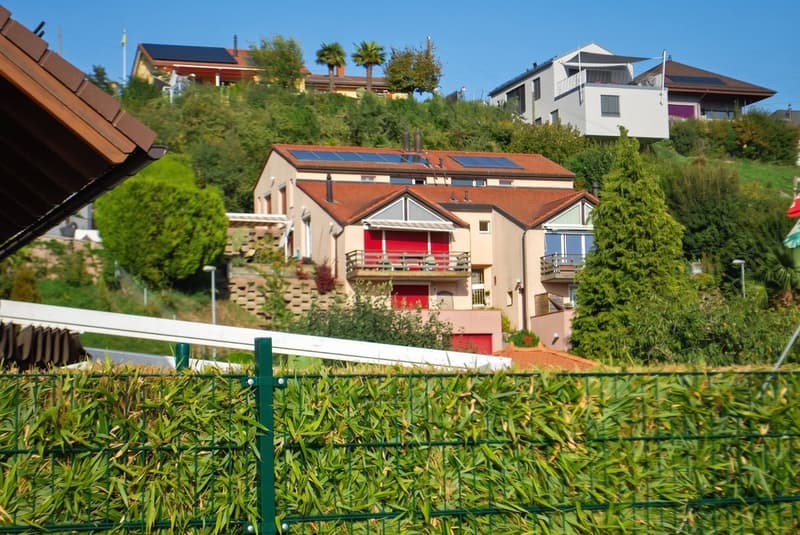 Studio à vendre à Chavornay - 20 m2 et grande terrasse (11)