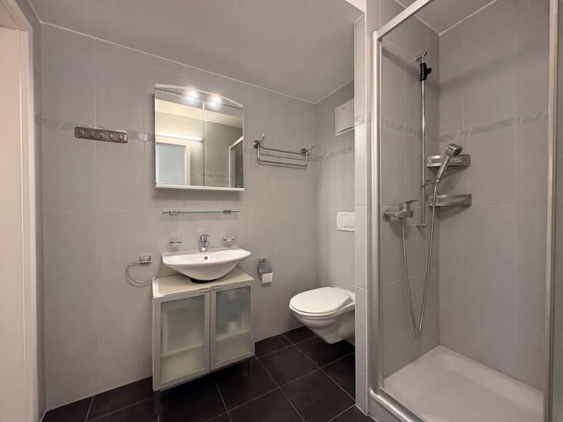 Appartement à vendre à Lausanne - attique de 4,5 pièces, 127 m², grand balcon (8)