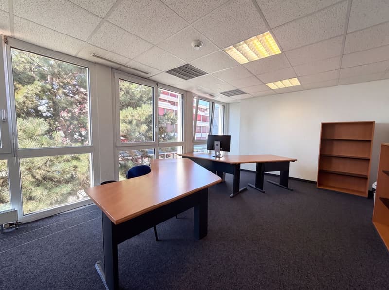 Local commercial à vendre à Crissier - 7,5 pièces de 179m2 avec un dépôts et des places de parking ! (9)