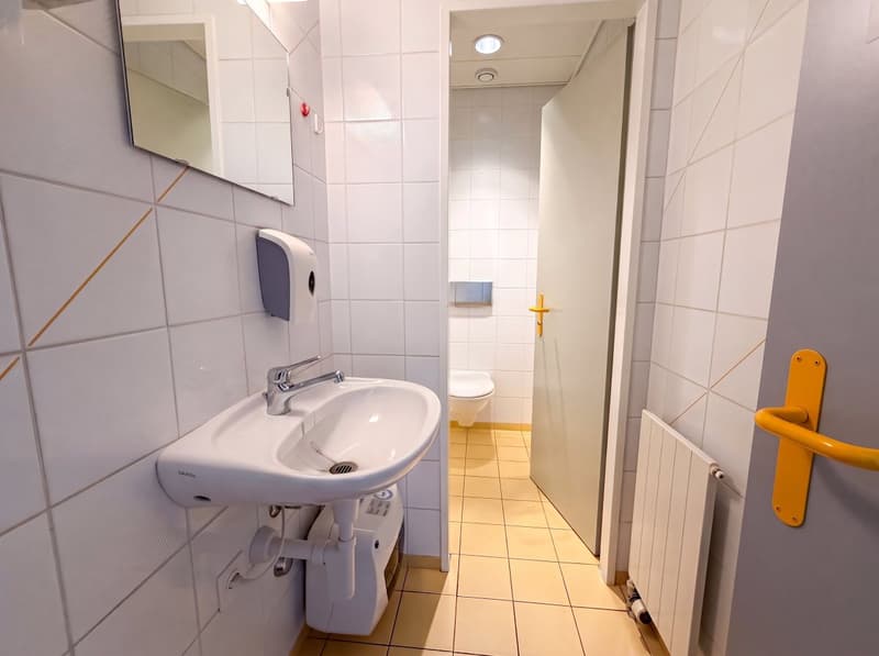 Local commercial à vendre à Crissier - 7.5 pièces de 179m2 et places de parking ! (13)