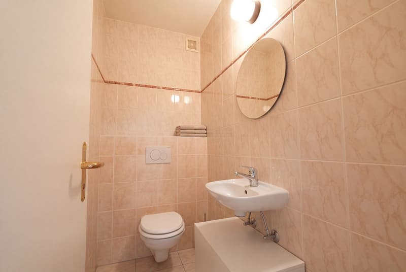 Charmant appartement à Ecublens - 3,5 pièces de 93 m2 avec un balcon (9)