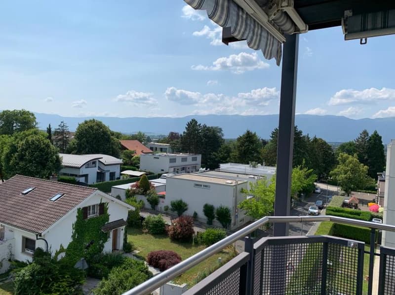 Superbe Appartement Spacieux Meublés avec Vue Panoramique à Genève (9)