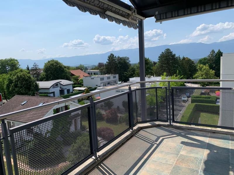 Superbe Appartement Spacieux Meublés avec Vue Panoramique à Genève (1)
