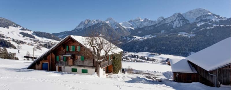 Chalet - 8 rooms in Château-d'Oex (1)