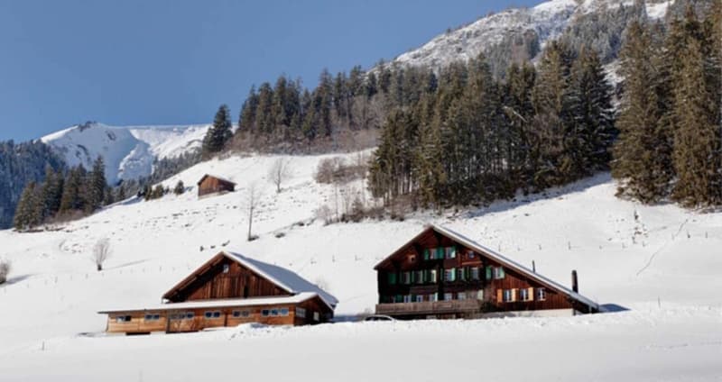 Chalet - 8 rooms in Château-d'Oex (2)