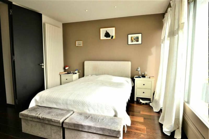 Mansarda 8 locali a Ginevra (10)