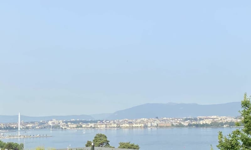 Appartamento eccezionale a Cologny / Appartamento 7 locali (3)
