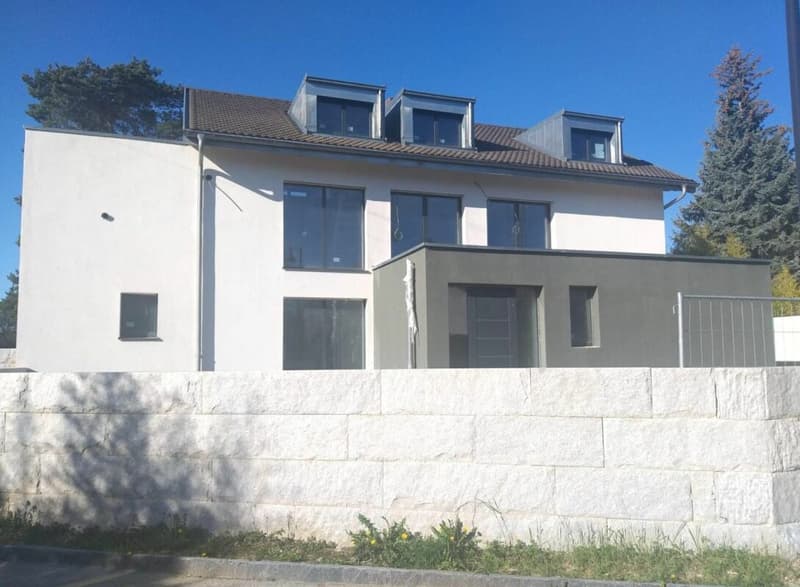 Villa individuelle 11 pièces à Tannay (5)