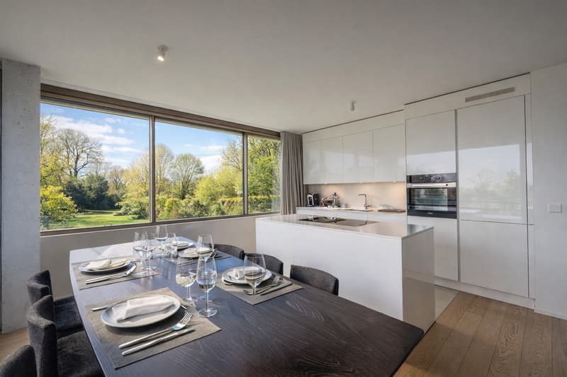 dining room, long dining table, white modern cabinets, large windows, garden view