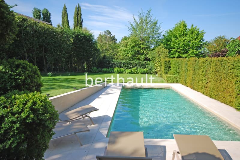 Small backyard, outdoor swimming pool, garden, trees, greenery, lawn, loungers