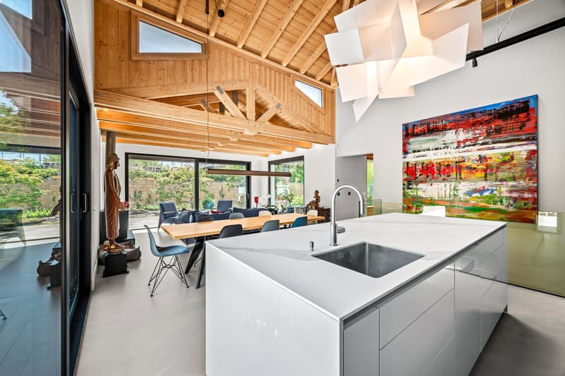 EXCLUSIVITÉ:  COLLONGE BELLERIVE - Magnifique Villa individuelle avec jardin (4)