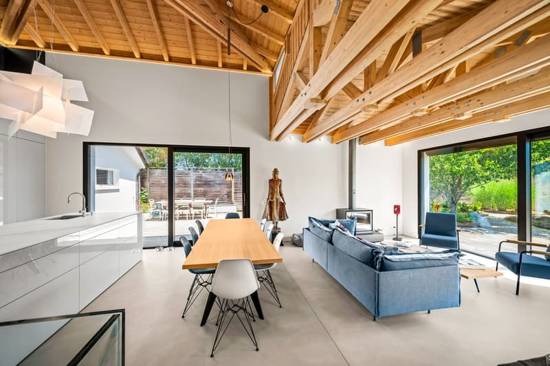 EXCLUSIVITÉ:  COLLONGE BELLERIVE - Magnifique Villa individuelle avec jardin (3)