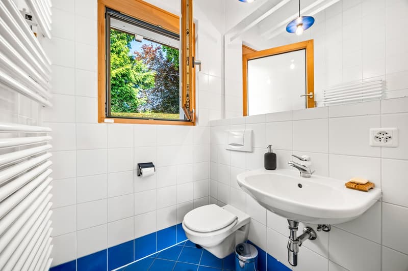 EXCLUSIVITÉ:  COLLONGE BELLERIVE - Magnifique Villa individuelle avec jardin (16)