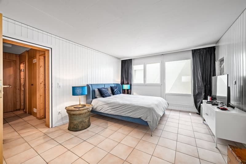 EXCLUSIVITÉ:  COLLONGE BELLERIVE - Magnifique Villa individuelle avec jardin (18)
