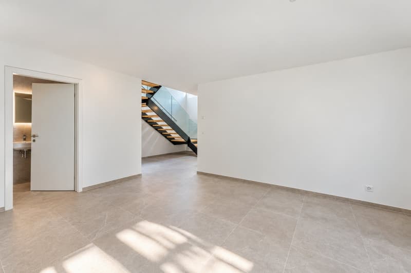 DISPONIBLE DE SUITE - VESENAZ - Villa d'architecte neuve (19)