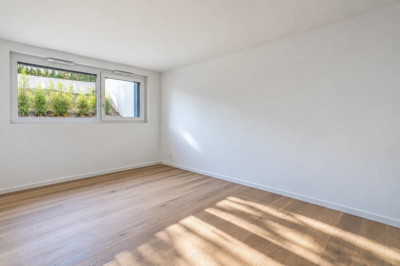 DISPONIBLE DE SUITE - VESENAZ - Villa d'architecte neuve (21)